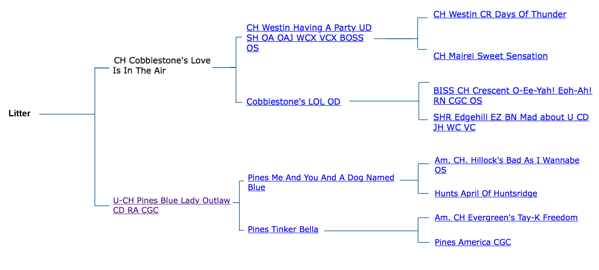 Pilot Pedigree