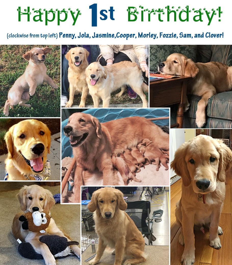 Happy Birthday!