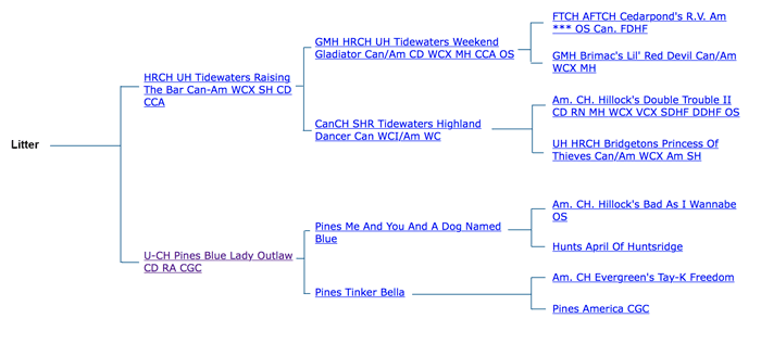 Rangers Pedigree